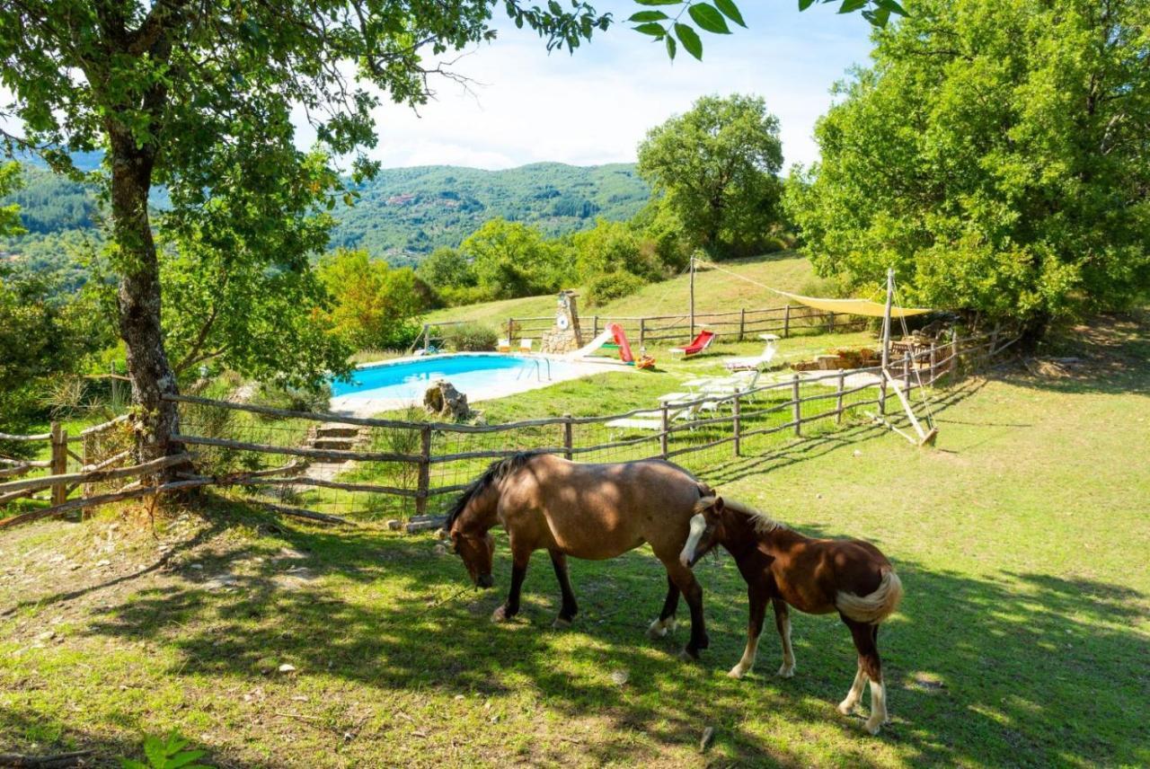 Villa Bellavista Arezzo Eksteriør billede
