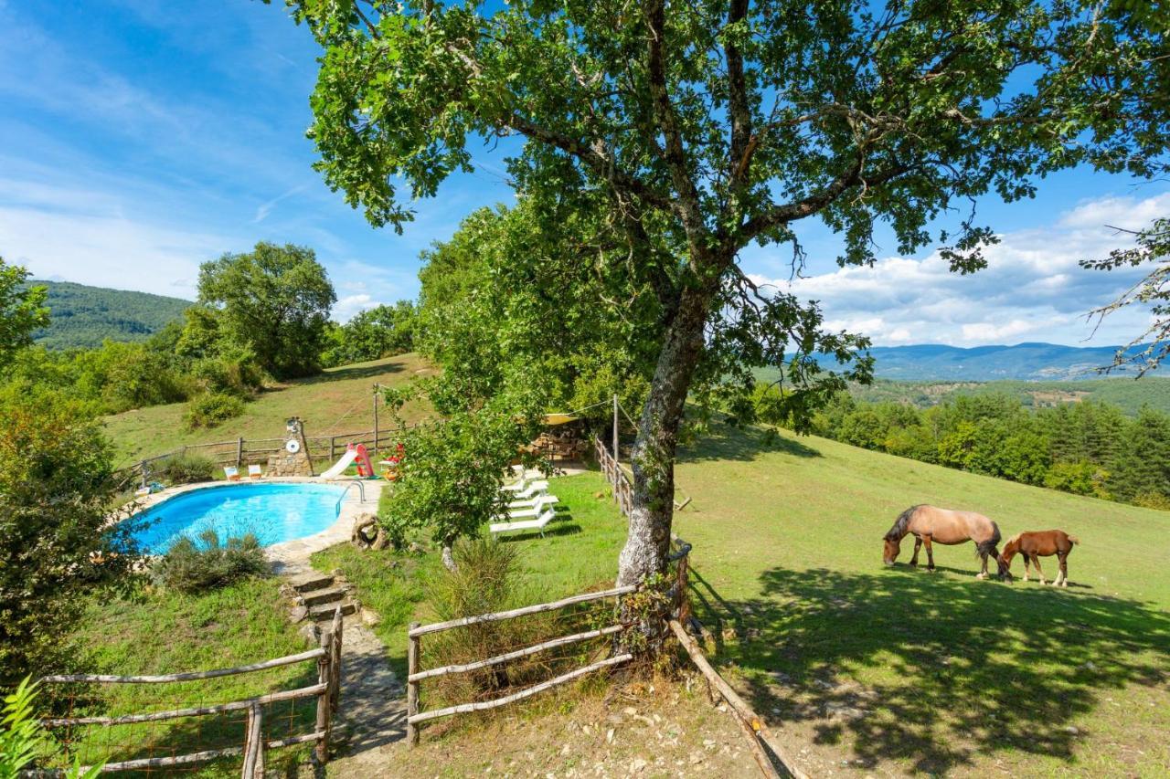 Villa Bellavista Arezzo Eksteriør billede